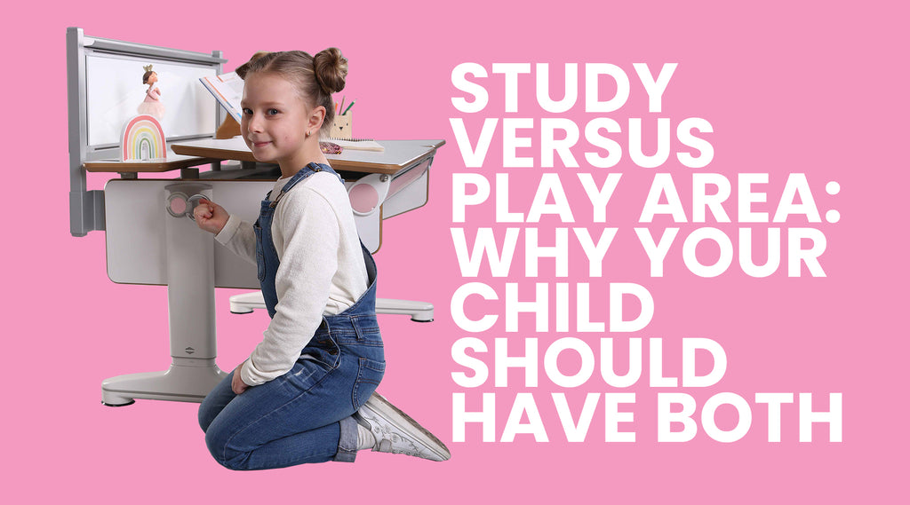 Study Versus Play Area: Why Your Child Should Have Both